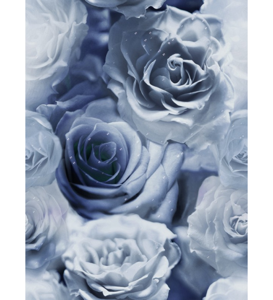 Velurové potahové látky s potiskem vzor 390097-103